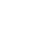 Money Icon